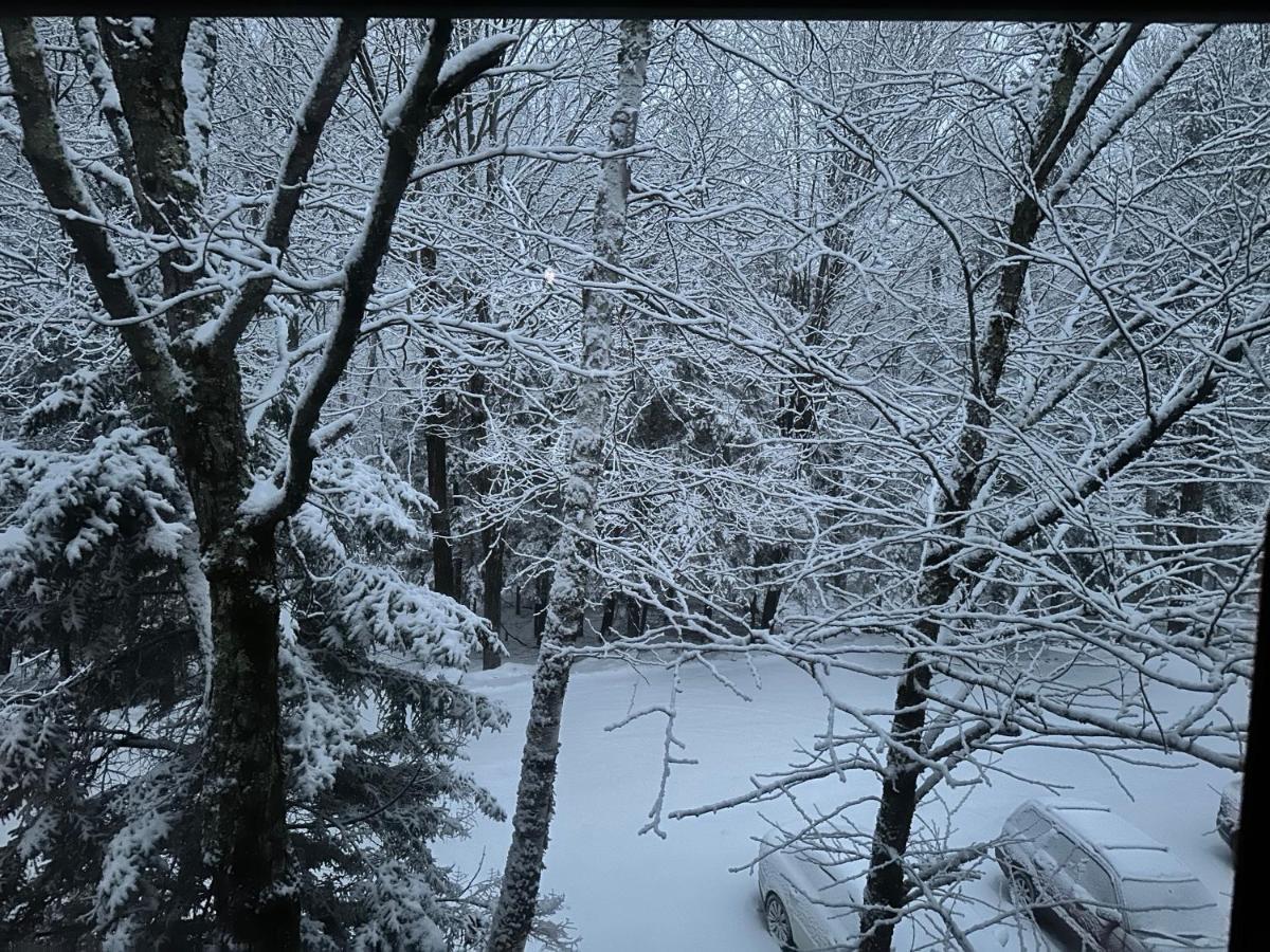 Vermont Getaway! Newly Renovated! Stratton Valley Bagian luar foto